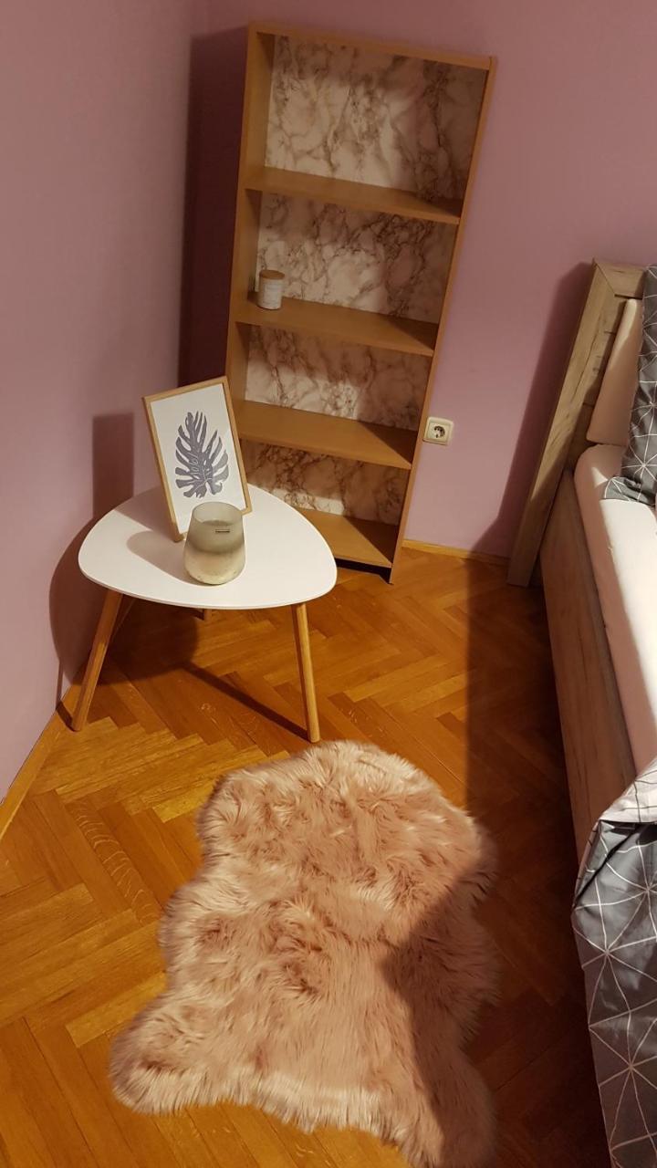 Apartment Krsta 诺威萨 外观 照片